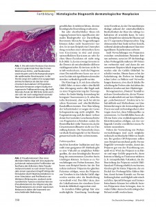 https://dev.dermatohistologie.bayern/wp-content/uploads/2016/06/file-page3-226x300.jpg